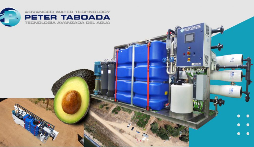 Peter taboada avocado irrigation plant
